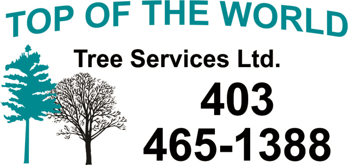 Top Of The World Tree Services Ltd